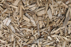 biomass boilers Shelthorpe